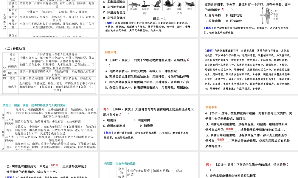 八年级生物上册 第十四章丰富多彩的生物世界复习课件 （新版）苏教版-（新版）苏教级上册生物课件