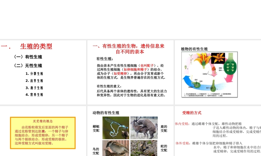 八年级生物上册 第十章 第四节 生物生殖的多种方式课件 （新版）北京版-北京版初中八年级上册生物课件