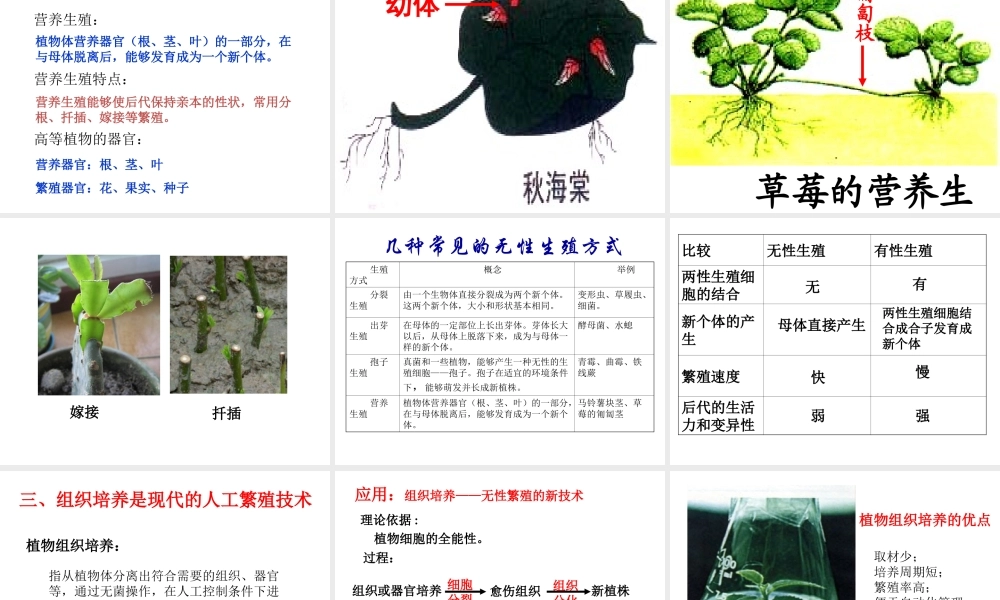八年级生物上册 第十章 第四节 生物生殖的多种方式课件 （新版）北京版-北京级上册生物课件
