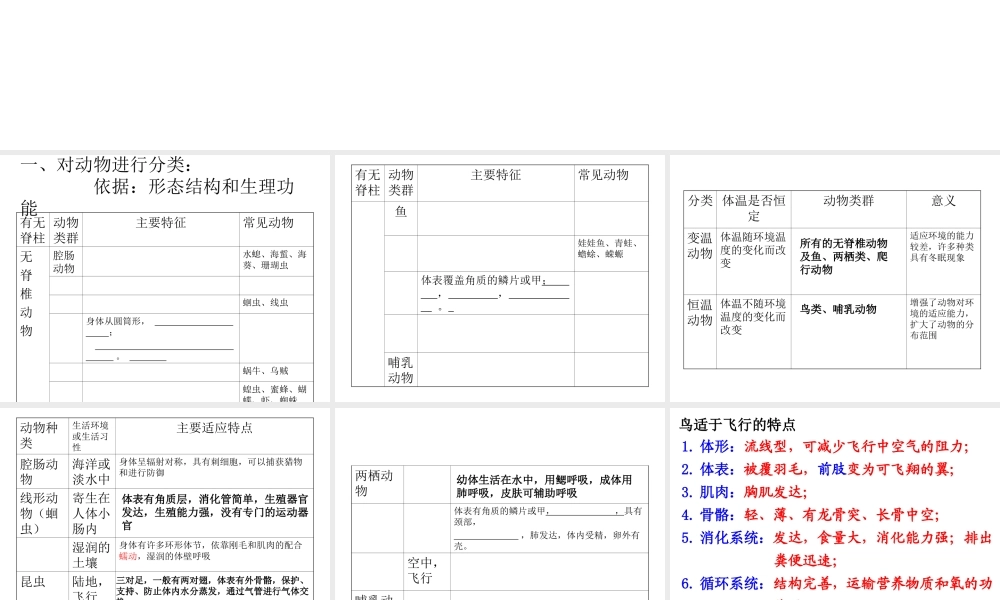 八年级生物上册 第一章 动物的主要类群知识构建课件 （新版）新人教版
