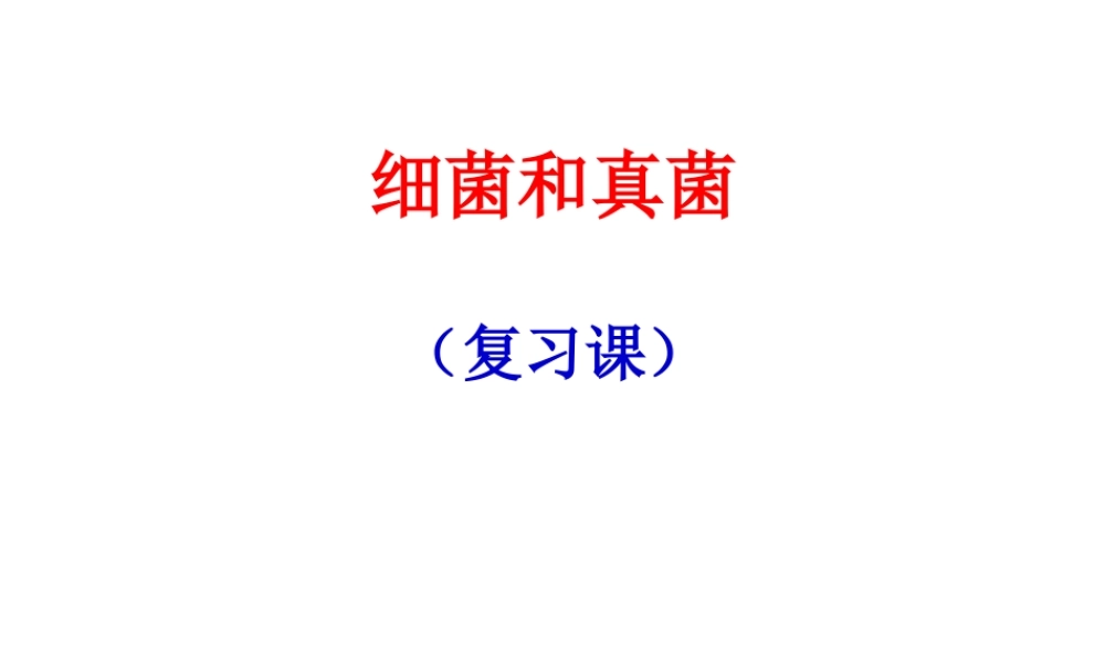 八年级生物上册 第四、五章 细菌真菌专题复习课件 人教新课标版