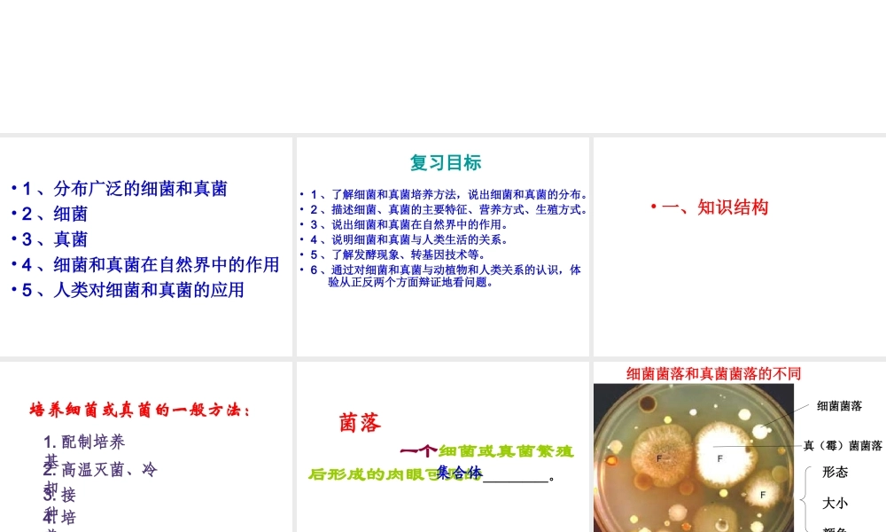 八年级生物上册 第四、五章 细菌真菌专题复习课件 人教新课标版