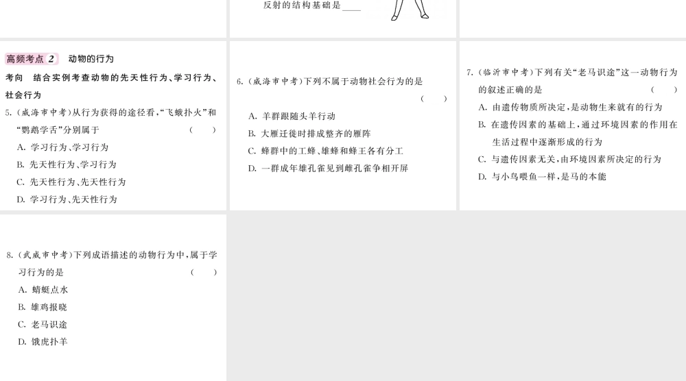 八年级生物上册 第五单元 第二 三章高频考点习题课件 （新版）新人教版