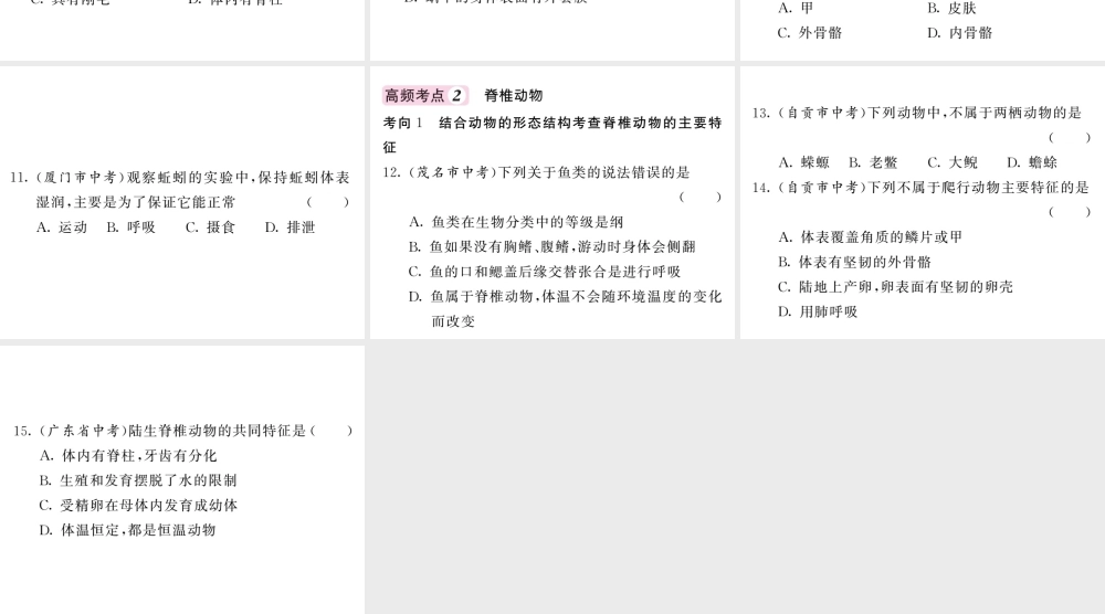 八年级生物上册 第五单元 第一章 动物的主要类群高频考点突破习题课件 （新版）新人教版
