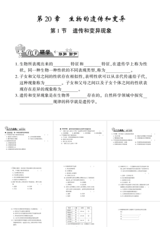 八年级生物上册 第六单元 第第1节 遗传和变异现象习题课件 （新版）北师大版-（新版）北师大级上册生物课件