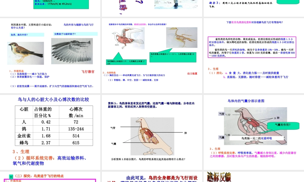 八年级生物上册 第一章第三节空中飞行的动物课件 人教新课标版