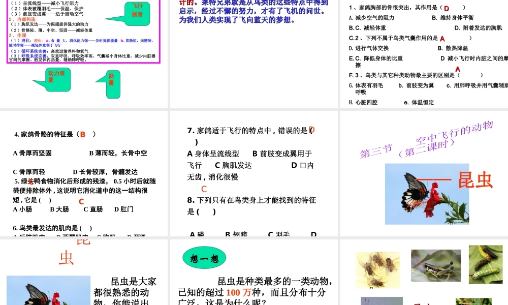 八年级生物上册 第一章第三节空中飞行的动物课件 人教新课标版