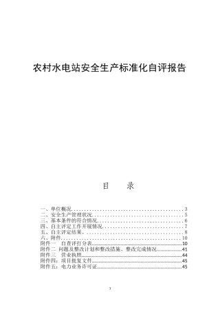 农村水电站安全生产标准化自评报告