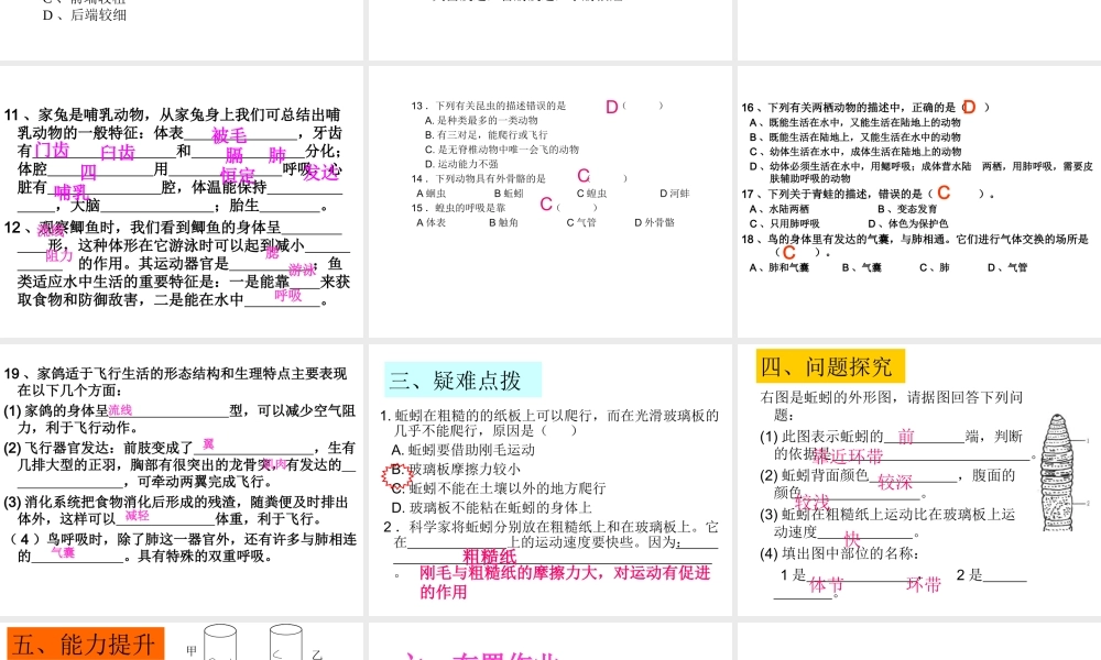 八年级生物上册 第一章各种环境中的动物期中复习课件 人教新课标版