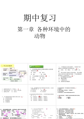 八年级生物上册 第一章各种环境中的动物期中复习课件 人教新课标版