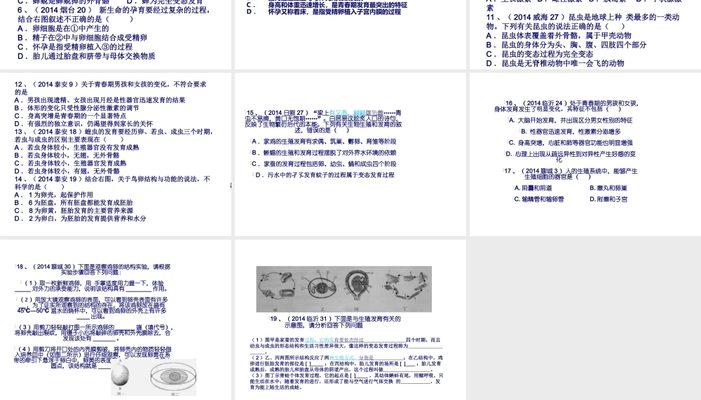 八年级生物上册 第四单元 第二三章复习课件 （新版）济南版-（新版）济南版初中八年级上册生物课件