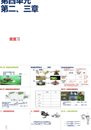 八年级生物上册 第四单元 第二三章复习课件 （新版）济南版-（新版）济南版初中八年级上册生物课件