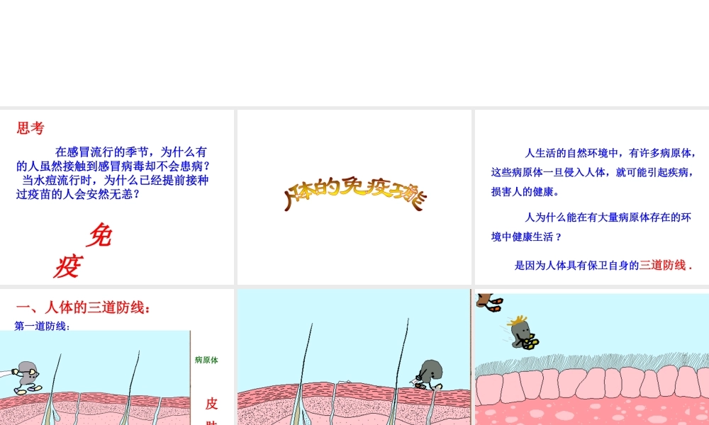 八年级生物上册 第八单元 第一章 第二节 免疫与计划免疫课件 新人教版