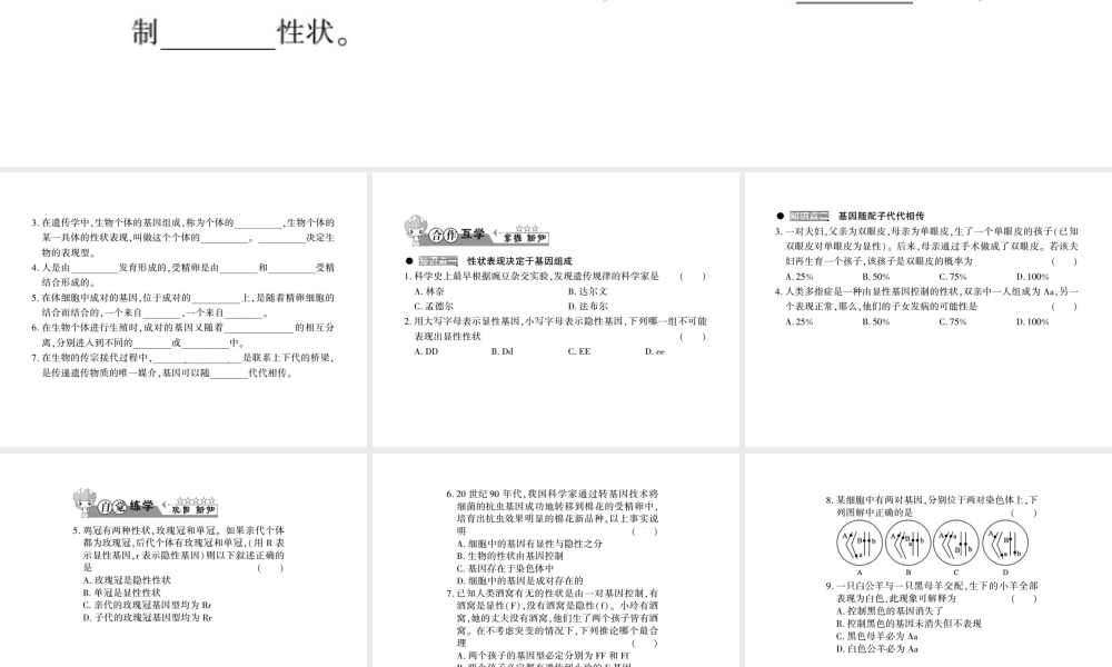 八年级生物上册 第六单元 第第3节 性状遗传有一定的规律性习题课件 （新版）北师大版-（新版）北师大级上册生物课件