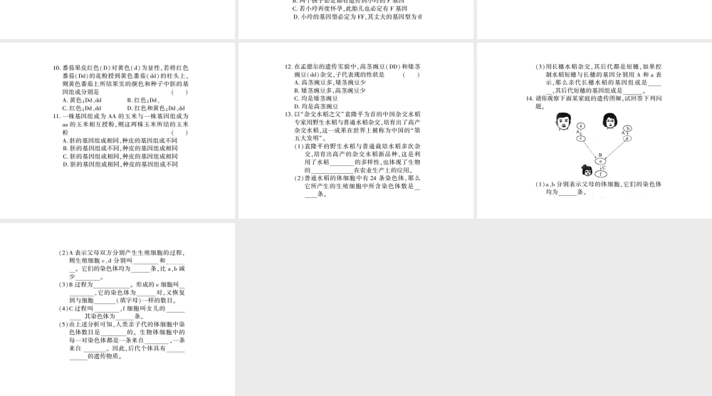 八年级生物上册 第六单元 第第3节 性状遗传有一定的规律性习题课件 （新版）北师大版-（新版）北师大级上册生物课件