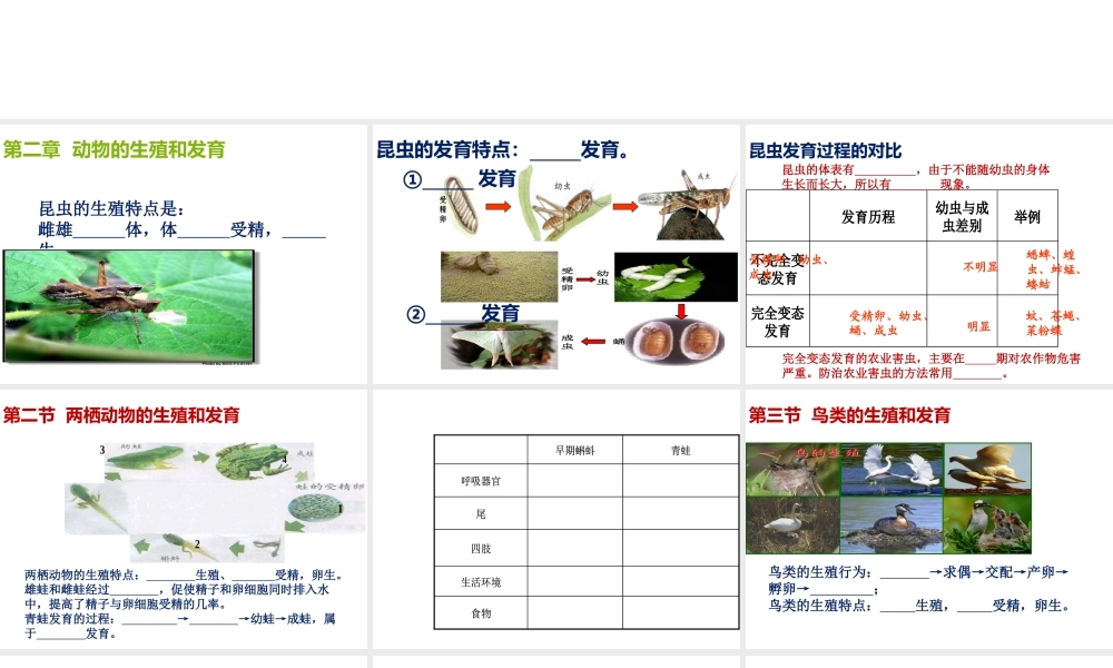 八年级生物上册 第四单元 第二三章复习课件 （新版）济南版-（新版）济南级上册生物课件