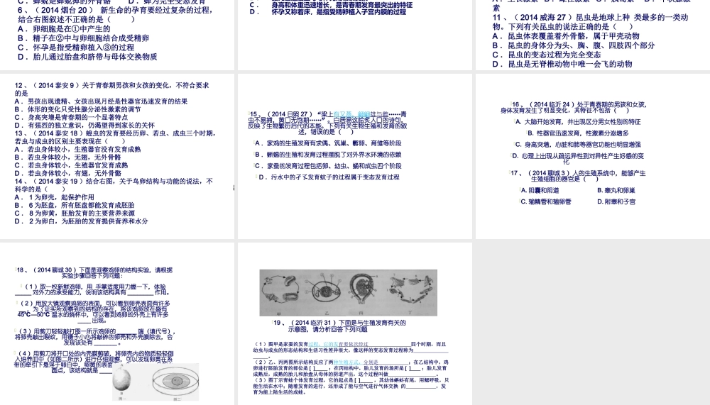 八年级生物上册 第四单元 第二三章复习课件 （新版）济南版-（新版）济南级上册生物课件