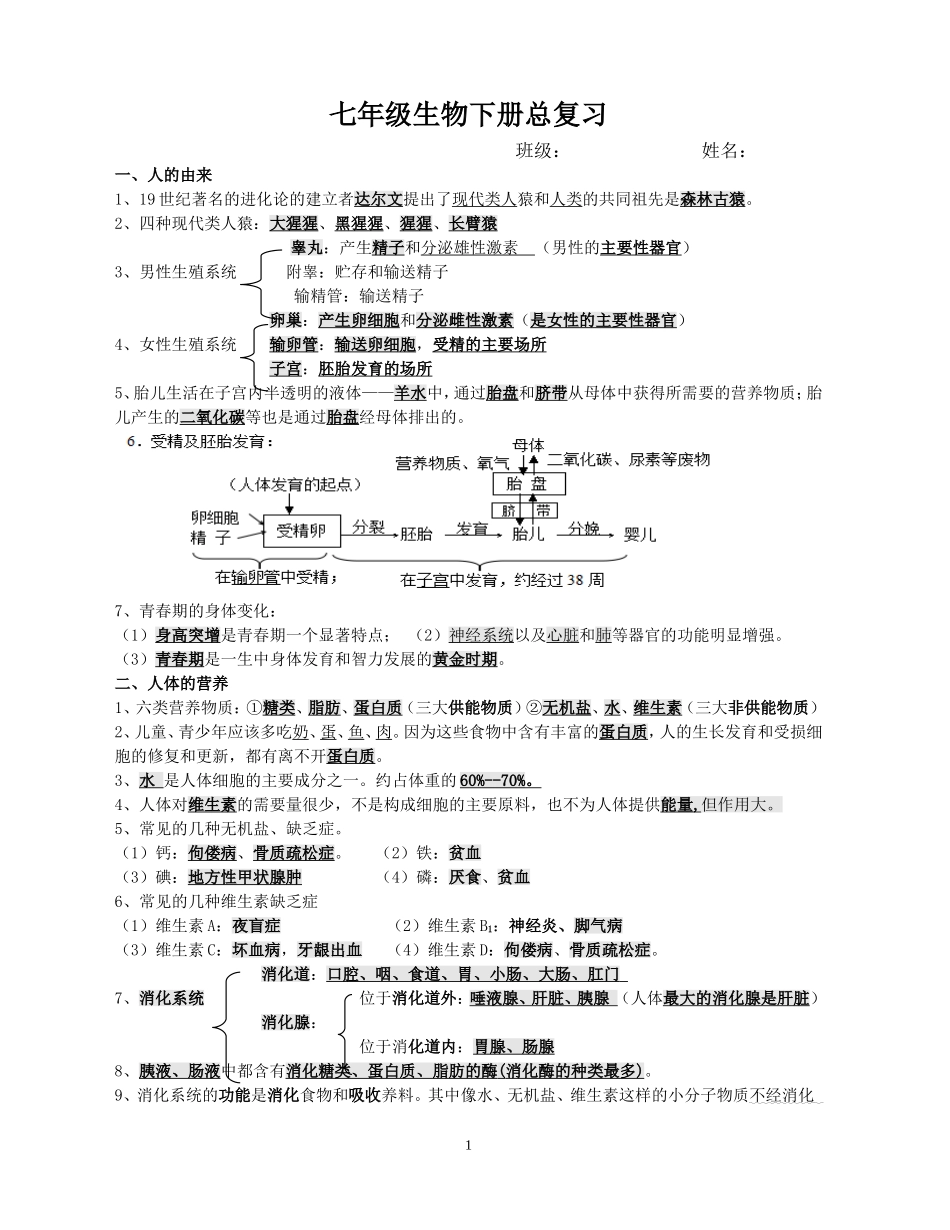 七年级生物下册总复习这里_第1页