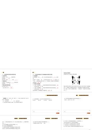 八年级生物上册 第六单元 第第4节 性别和性别决定课件 （新版）北师大版-（新版）北师大级上册生物课件