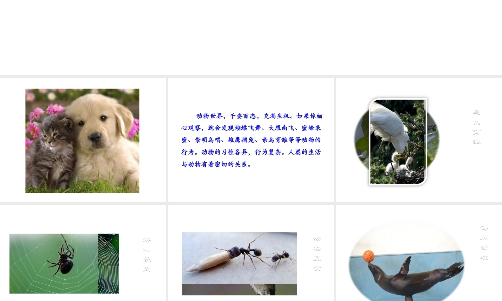 八年级生物上册 第四单元 第二章 第1节《动物的行为特点》课件 （新版）冀教版-（新版）冀教版初中八年级上册生物课件