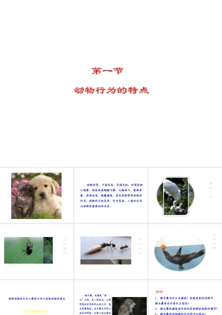 八年级生物上册 第四单元 第二章 第1节《动物的行为特点》课件 （新版）冀教版-（新版）冀教版初中八年级上册生物课件