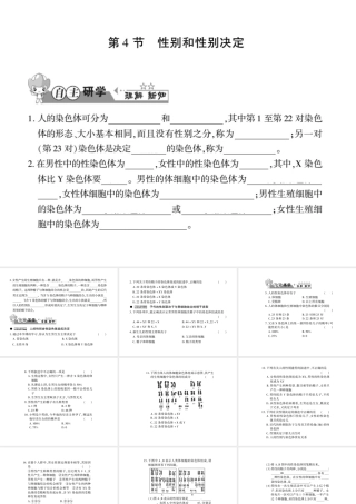 八年级生物上册 第六单元 第第4节 性别和性别决定习题课件 （新版）北师大版-（新版）北师大级上册生物课件