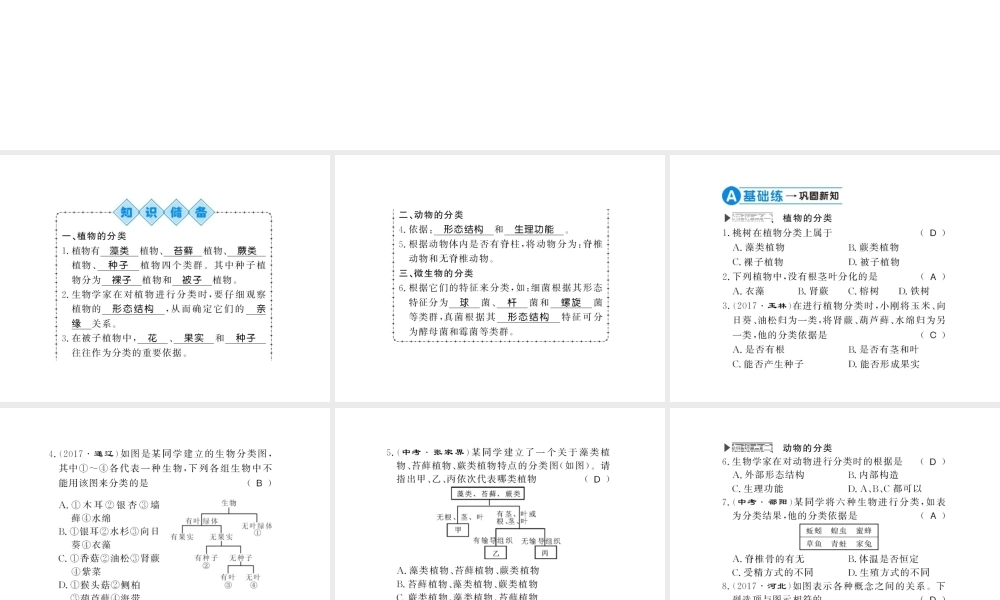 八年级生物上册 第六单元 第1章 第1节 尝试对生物进行分类习题课件 （新版）新人教版-（新版）新人教级上册生物课件
