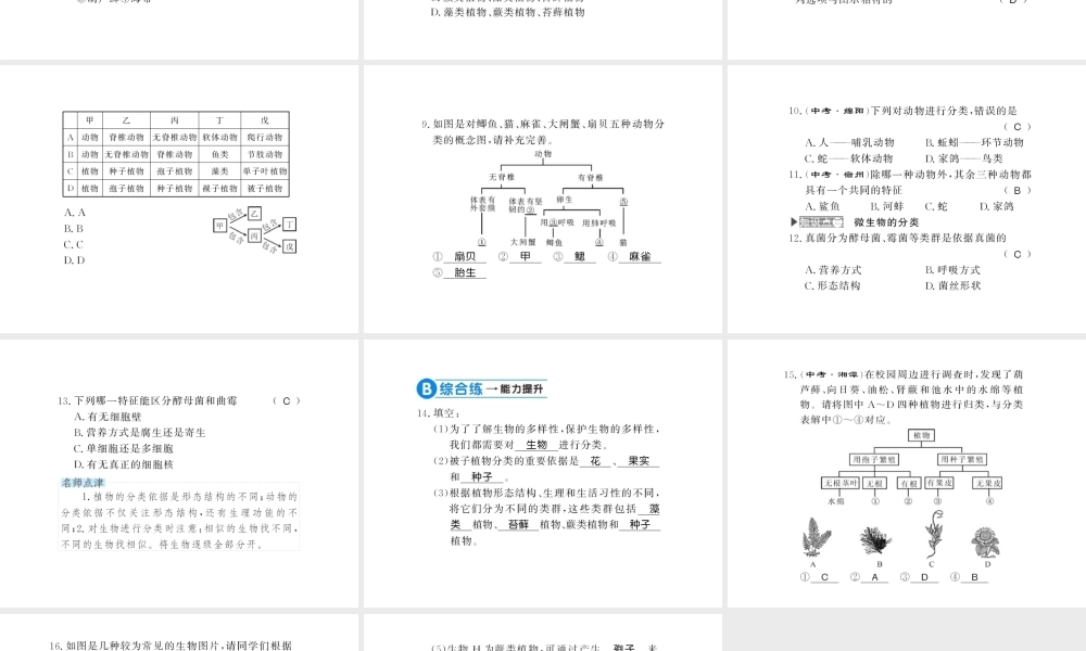 八年级生物上册 第六单元 第1章 第1节 尝试对生物进行分类习题课件 （新版）新人教版-（新版）新人教级上册生物课件