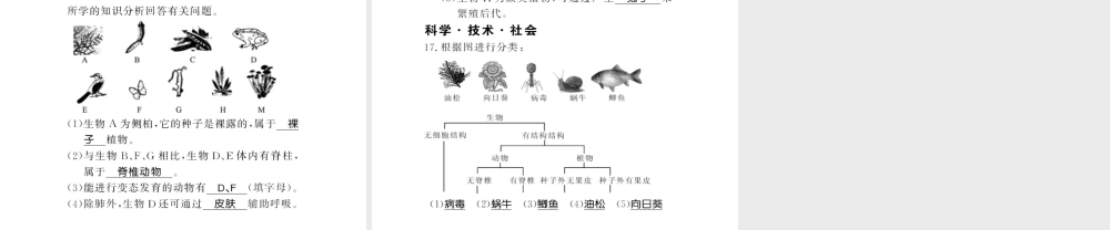 八年级生物上册 第六单元 第1章 第1节 尝试对生物进行分类习题课件 （新版）新人教版-（新版）新人教级上册生物课件
