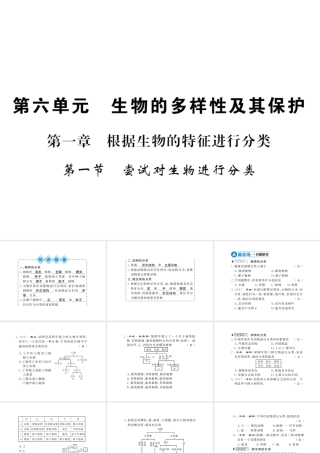 八年级生物上册 第六单元 第1章 第1节 尝试对生物进行分类习题课件 （新版）新人教版-（新版）新人教级上册生物课件