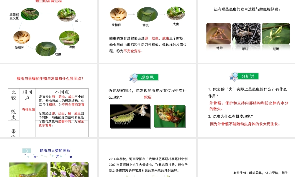 八年级生物上册 第四单元 第二章 第1节《昆虫的生殖和发育》课件 （新版）济南版-（新版）济南级上册生物课件
