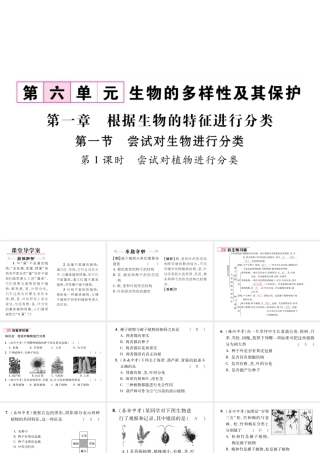 八年级生物上册 第六单元 第1章 第一节 尝试对生物进行分类（第1课时 尝试对植物进行分类）课件 （新版）新人教版-（新版）新人教版初中八年级上册生物课件