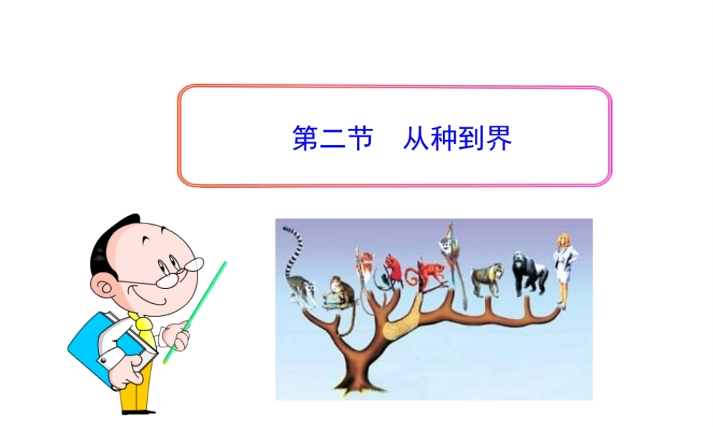 八年级生物上册 第六单元 第二章 第二节 从种到界课件 新人教版