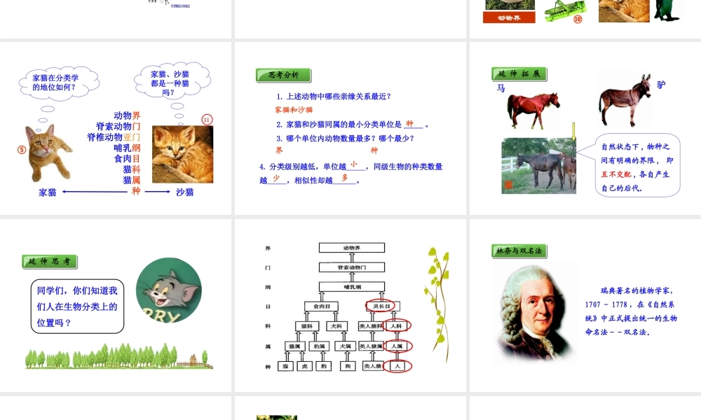 八年级生物上册 第六单元 第二章 第二节 从种到界课件 新人教版