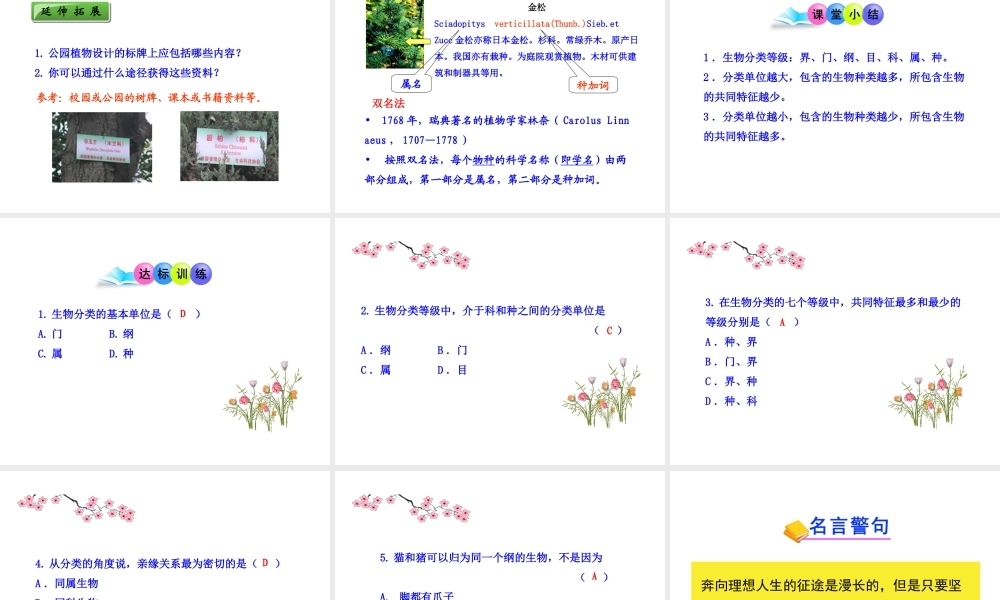 八年级生物上册 第六单元 第二章 第二节 从种到界课件 新人教版