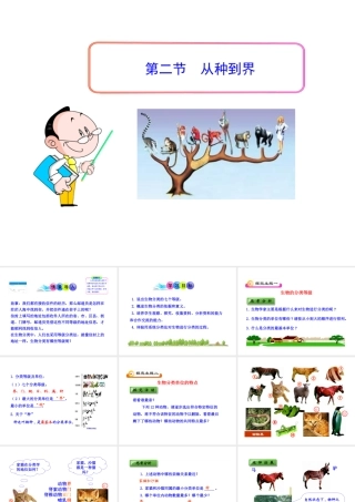 八年级生物上册 第六单元 第二章 第二节 从种到界课件 新人教版