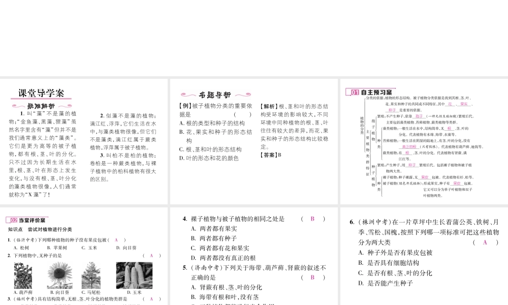 八年级生物上册 第六单元 第1章 第一节 尝试对生物进行分类（第1课时 尝试对植物进行分类）课件 （新版）新人教版-（新版）新人教级上册生物课件