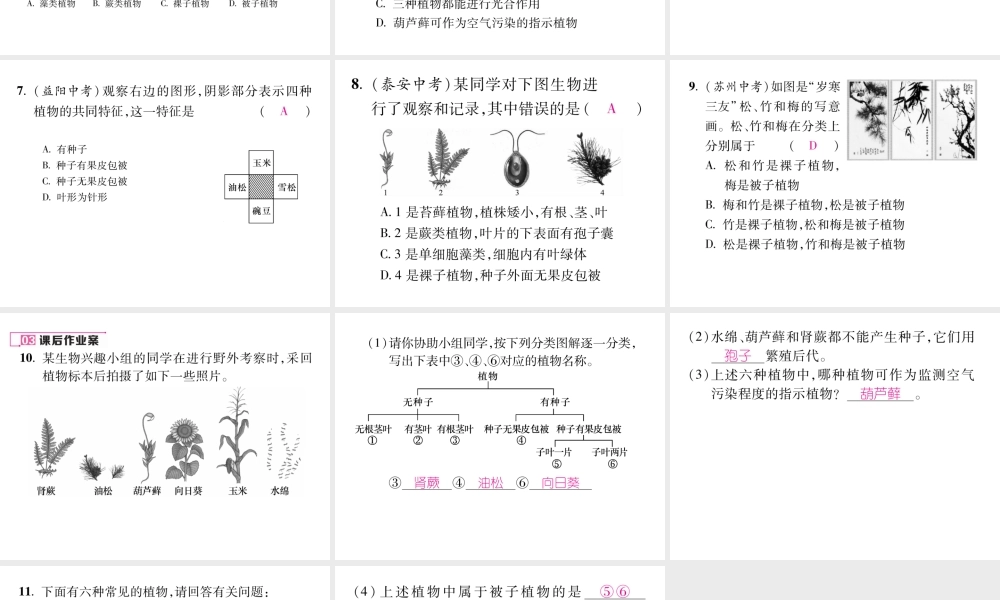 八年级生物上册 第六单元 第1章 第一节 尝试对生物进行分类（第1课时 尝试对植物进行分类）课件 （新版）新人教版-（新版）新人教级上册生物课件
