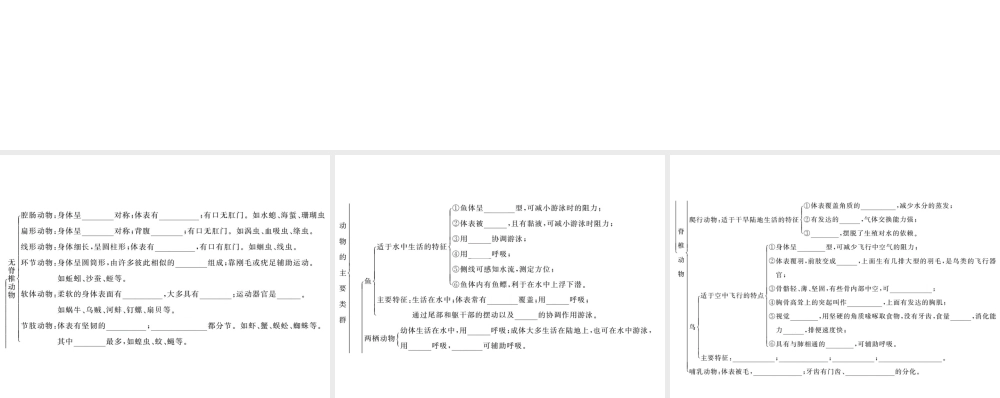 八年级生物上册 第五单元 第一章 动物的主要类群知识网络习题课件 （新版）新人教版