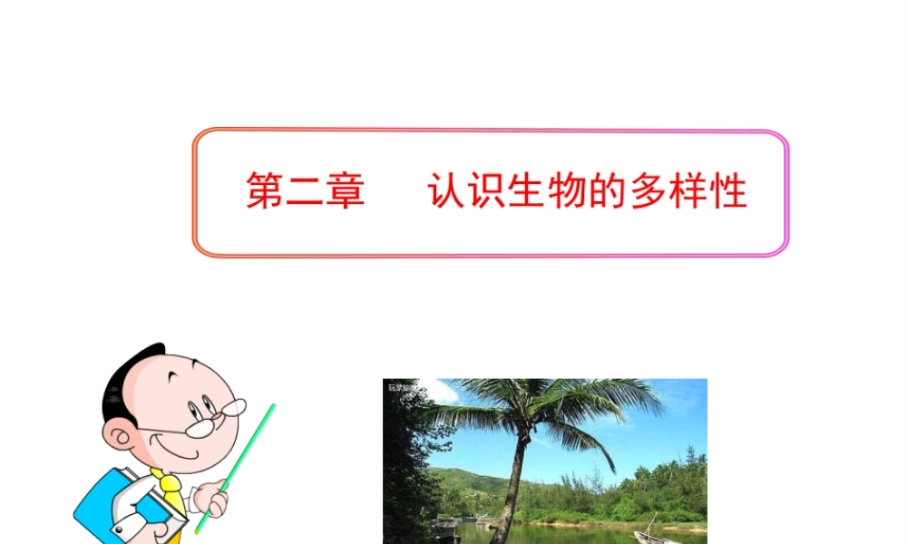 八年级生物上册 第六单元 第二章 认识生物的多样性课件 新人教版