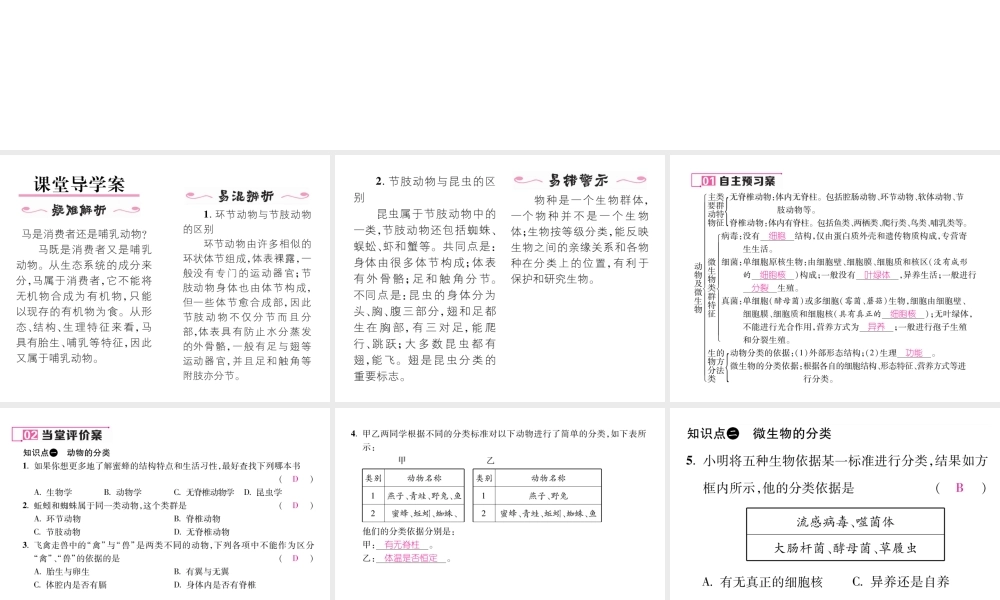 八年级生物上册 第六单元 第1章 第一节 尝试对生物进行分类（第2课时 对动物及微生物进行分类）课件 （新版）新人教版-（新版）新人教级上册生物课件