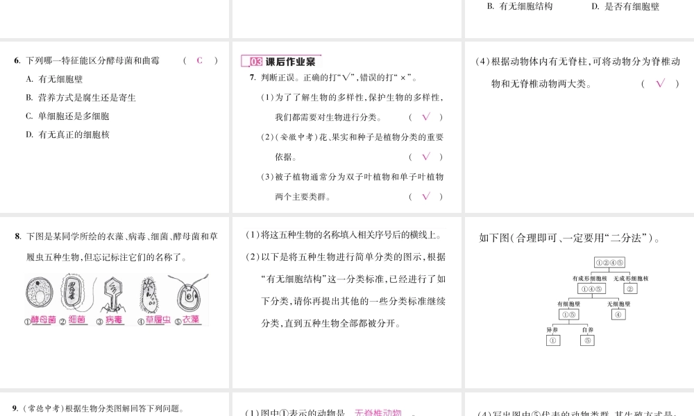 八年级生物上册 第六单元 第1章 第一节 尝试对生物进行分类（第2课时 对动物及微生物进行分类）课件 （新版）新人教版-（新版）新人教级上册生物课件