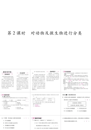 八年级生物上册 第六单元 第1章 第一节 尝试对生物进行分类（第2课时 对动物及微生物进行分类）课件 （新版）新人教版-（新版）新人教级上册生物课件