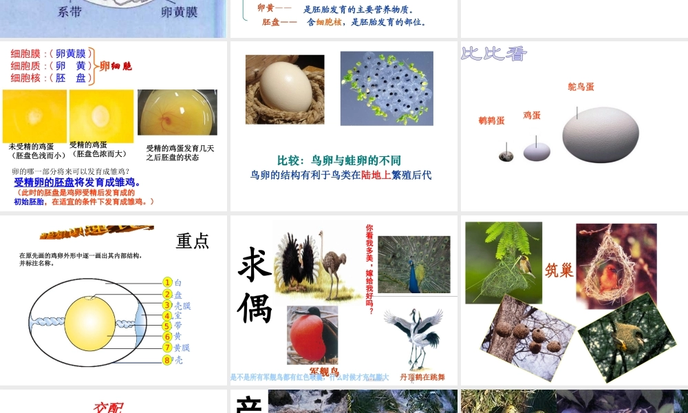 八年级生物上册 第四单元 第二章 第3节 鸟的生殖和发育课件 （新版）济南版-（新版）济南级上册生物课件
