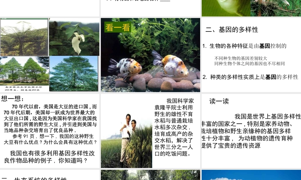 八年级生物上册 第六单元 第二章 认识生物的多样性课件2 新人教版