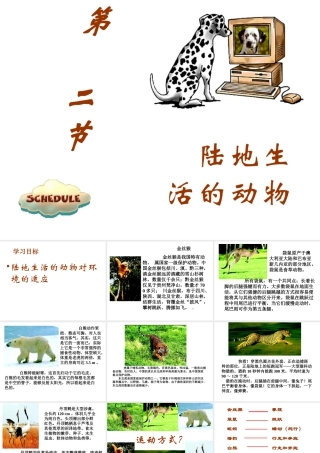 八年级生物上册 第五单元 第一章 各种环境中的动物 第二节 陆地生活的动物课件 新人教版