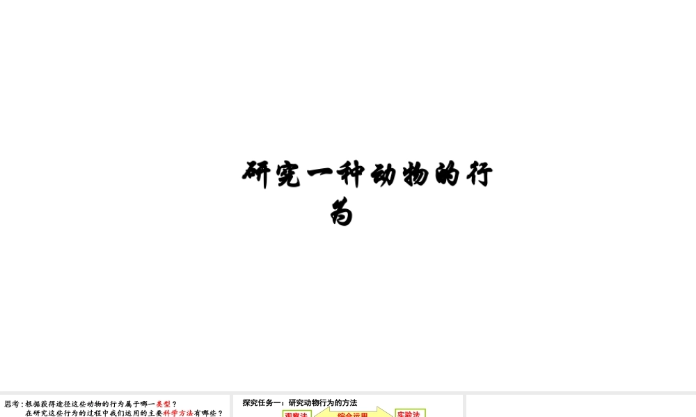 八年级生物上册 第五单元 第二章 第二节 先天性行为和学习行为《研究一种动物的行为》课件 （新版）新人教版