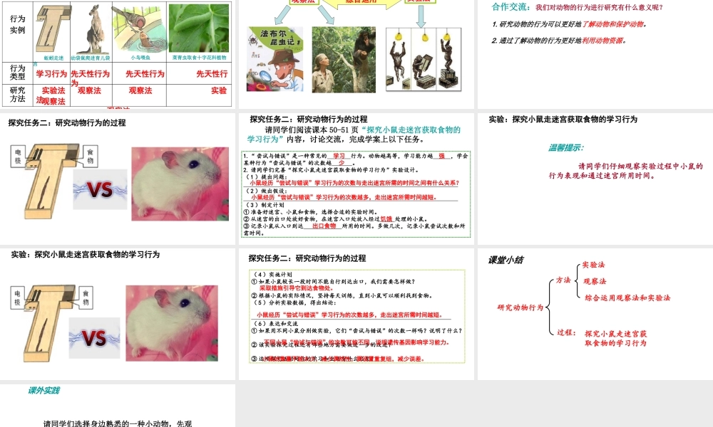 八年级生物上册 第五单元 第二章 第二节 先天性行为和学习行为《研究一种动物的行为》课件 （新版）新人教版