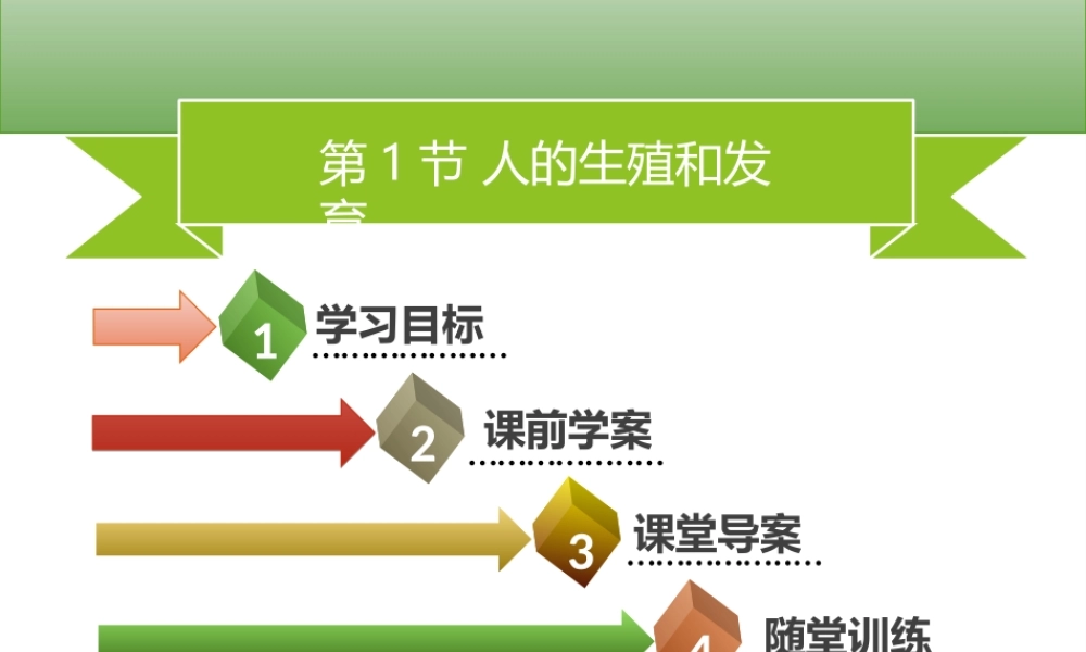 八年级生物上册 第六单元 第19章 第1节 人的生殖和发育（第1课时 人的生殖系统）习题课件 （新版）北师大版-（新版）北师大版初中八年级上册生物课件