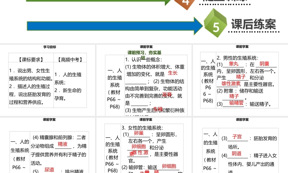 八年级生物上册 第六单元 第19章 第1节 人的生殖和发育（第1课时 人的生殖系统）习题课件 （新版）北师大版-（新版）北师大版初中八年级上册生物课件